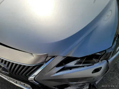 2019 Lexus ES 300 JTHB21B10K2052894 VIN:JTHB21B10K2052894