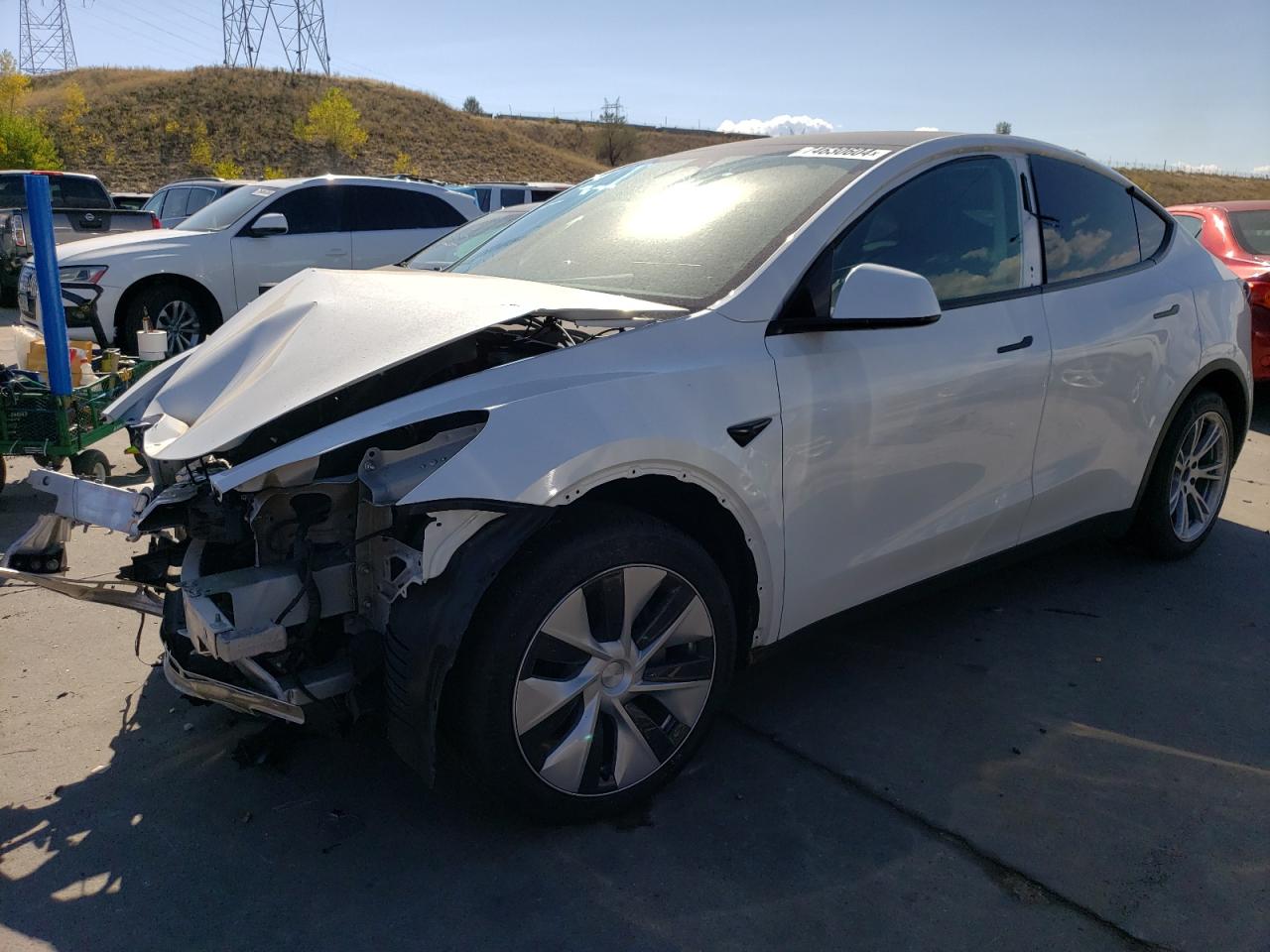 2023 TESLA MODEL Y  VIN:7SAYGDEE2PF703494