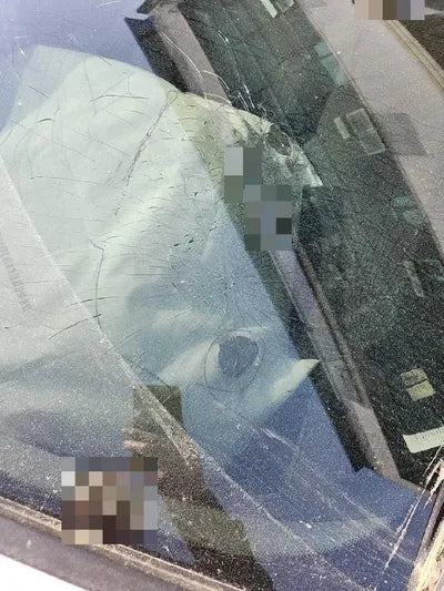 2015 BMW 320 WBA3Y3102FGH95431 VIN:WBA3Y3102FGH95431