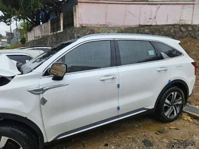 2021 Kia Sorento KNARH81GDMA023771 VIN:KNARH81GDMA023771