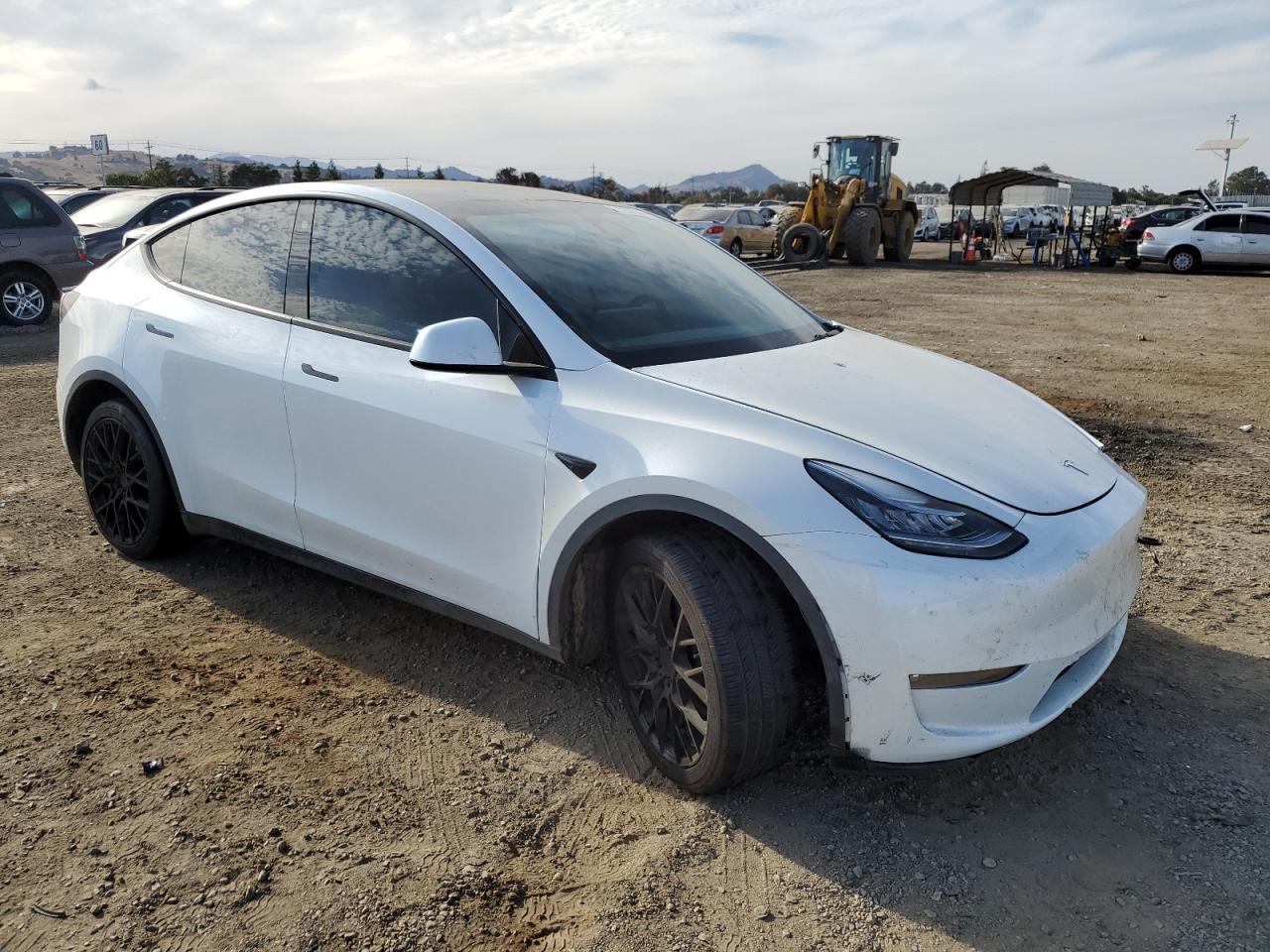 2023 TESLA MODEL Y  VIN:7SAYGDEE6PF583151