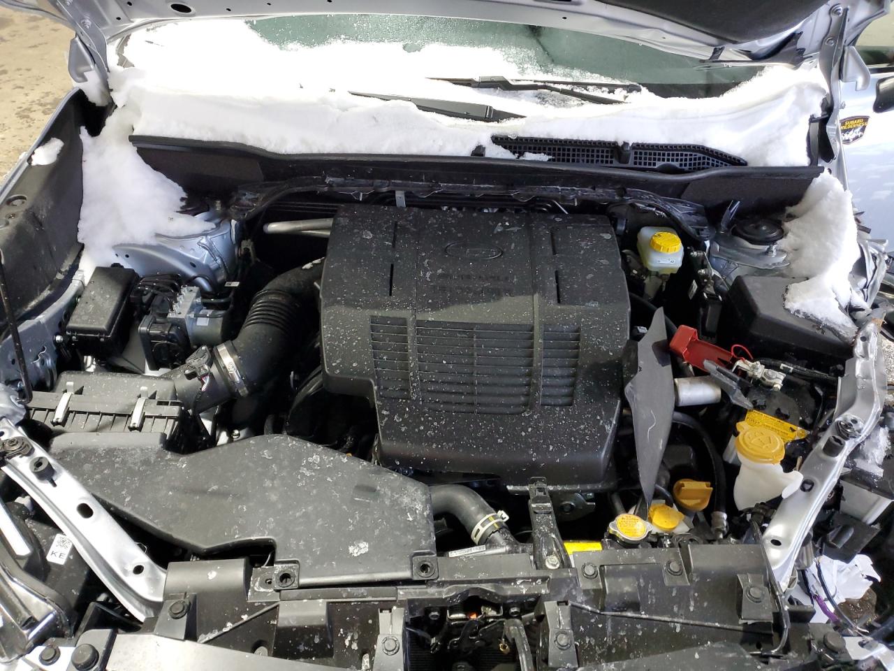 2024 SUBARU FORESTER WILDERNESS VIN:JF2SKAHC0RH523574