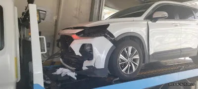 2019 Hyundai Santa FE KMHS281BBKU138118 VIN:KMHS281BBKU138118