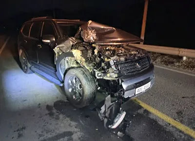 2018 Kia Mohave 080KMKNAKN814DJA1 VIN:080KMKNAKN814DJA1