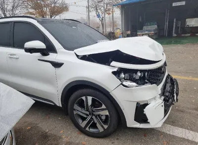 2023 Kia Sorento KNARJ81GBPA204006 VIN:KNARJ81GBPA204006