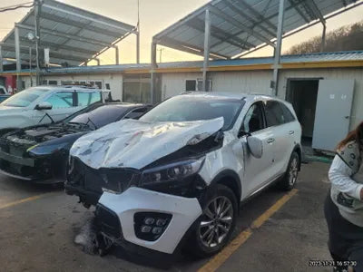 2017 Kia Sorento 304KMKNAPS81ADHA3 VIN:304KMKNAPS81ADHA3