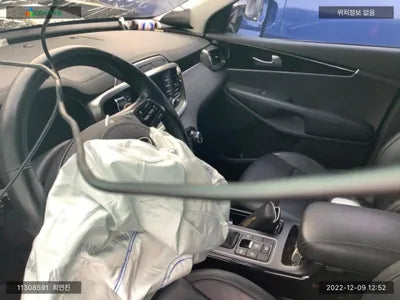 2019 Kia Sorento KNAPS81ABLA607211 VIN:KNAPS81ABLA607211