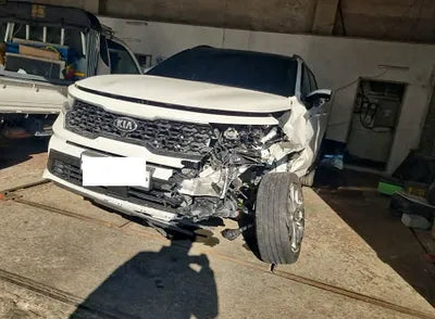 2021 Kia Sorento KNARH81BGMA010319 VIN:KNARH81BGMA010319