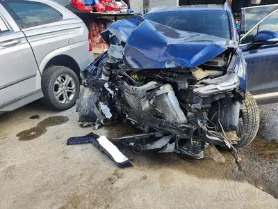 2019 Hyundai Santa FE KMHS381CDKU076065 VIN:KMHS381CDKU076065