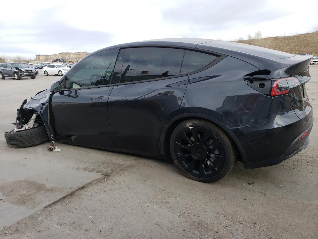 2024 TESLA MODEL Y  VIN:7SAYGAEE5RF038446