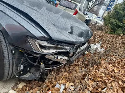 2020 Audi A6 WAUZZZF29LN020813 VIN:WAUZZZF29LN020813