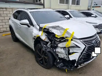2019 Lexus NX 300 JTJBJRBZ9K2119465 VIN:JTJBJRBZ9K2119465