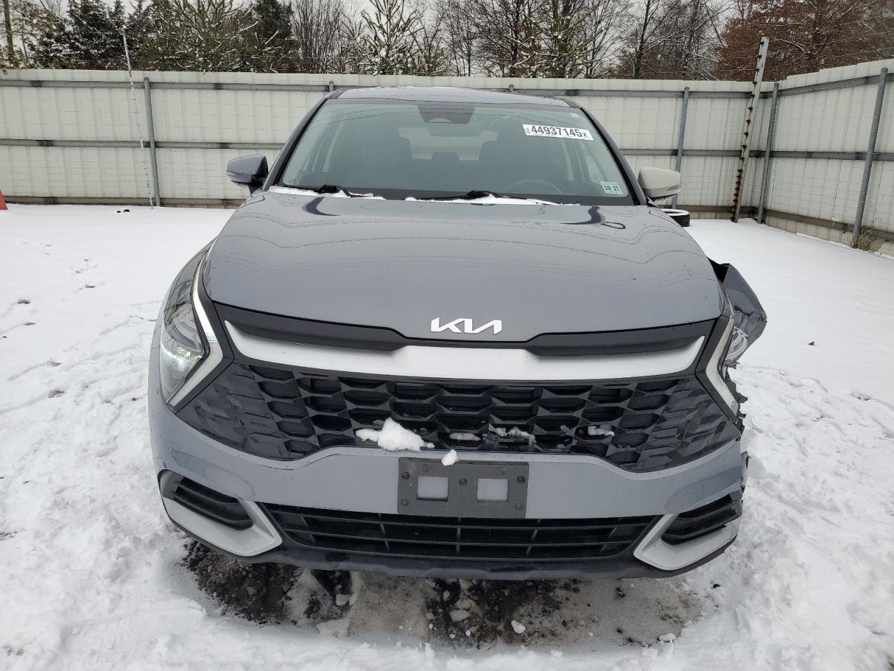 2023 KIA SPORTAGE EX VIN:5XYK33AF3PG064218