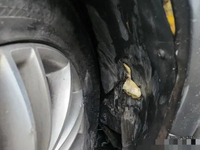 2015 Volkswagen Tiguan VIN: