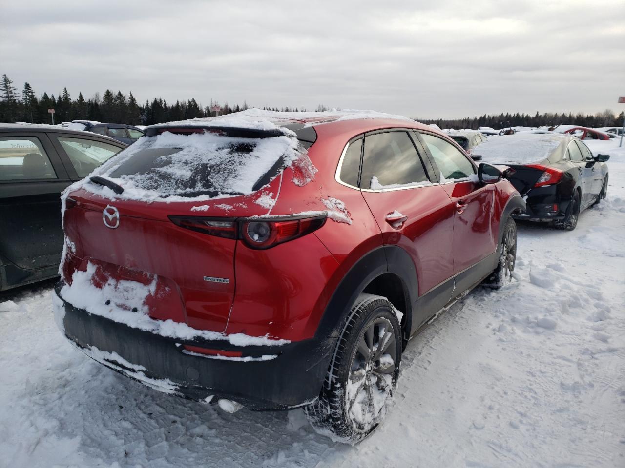 2024 MAZDA CX-30 PREMIUM VIN:3MVDMBDM9RM671626