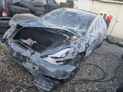 2020 Tesla Model 3 5YJ3E1EB0LF750728 VIN:5YJ3E1EB0LF750728