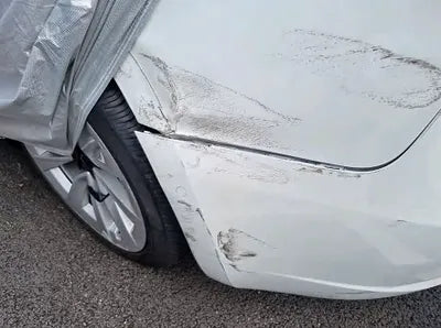2022 Tesla Model 3 5YJ3E1EB0NF229883 VIN:5YJ3E1EB0NF229883