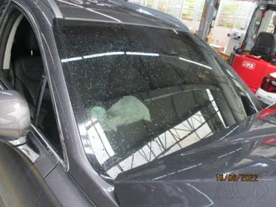 2019 Hyundai Santa FE KMHS381BDKU016097 VIN:KMHS381BDKU016097