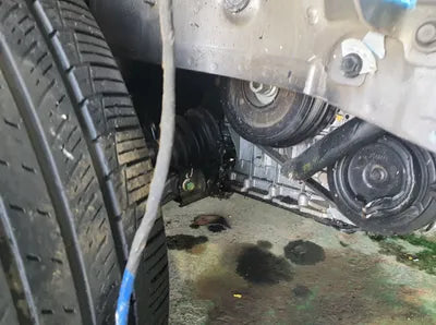 2019 Hyundai Santa FE KMHS381BBKU044937 VIN:KMHS381BBKU044937