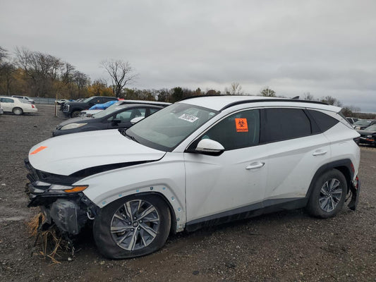 2023 HYUNDAI TUCSON BLUE VIN:KM8JBCA15PU116879