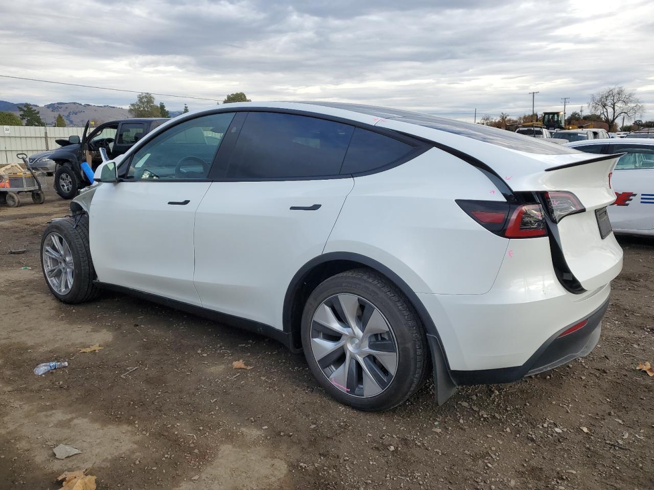 2023 TESLA MODEL Y  VIN:7SAYGDEE5PF813889
