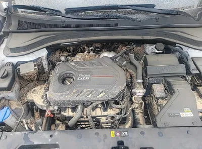 2019 Hyundai Santa FE KMHS281ADKU077314 VIN:KMHS281ADKU077314