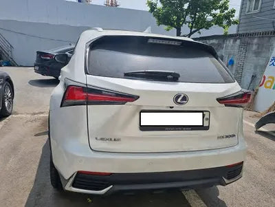 2020 Lexus NX 300 JTJHJRDZ8L5000796 VIN:JTJHJRDZ8L5000796