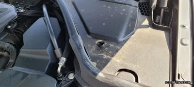 2020 BMW 320 WBA5X5105LFJ61360 VIN:WBA5X5105LFJ61360