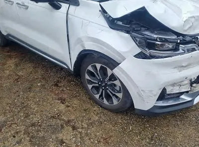 2021 Kia Carnival KNANE81BBMS073819 VIN:KNANE81BBMS073819