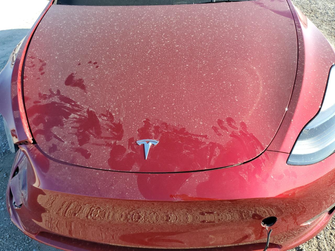 2024 TESLA MODEL Y  VIN:7SAYGDEE2RA256729
