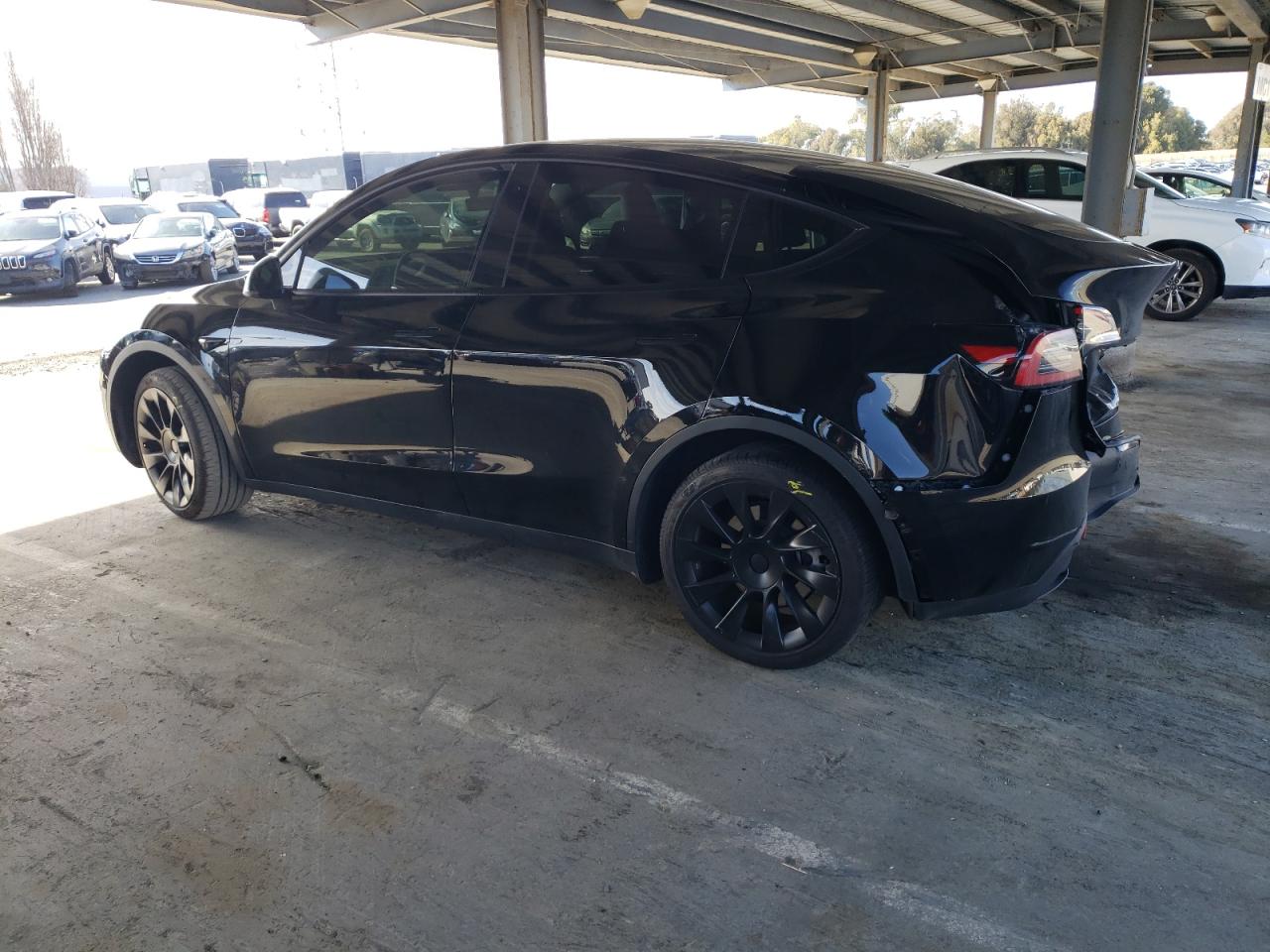 2023 TESLA MODEL Y  VIN:7SAYGAEEXPF772075