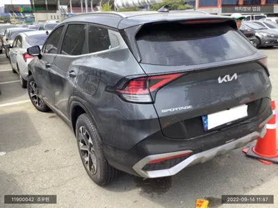 2022 Kia Sportage KNAPX81GBNK013500 VIN:KNAPX81GBNK013500