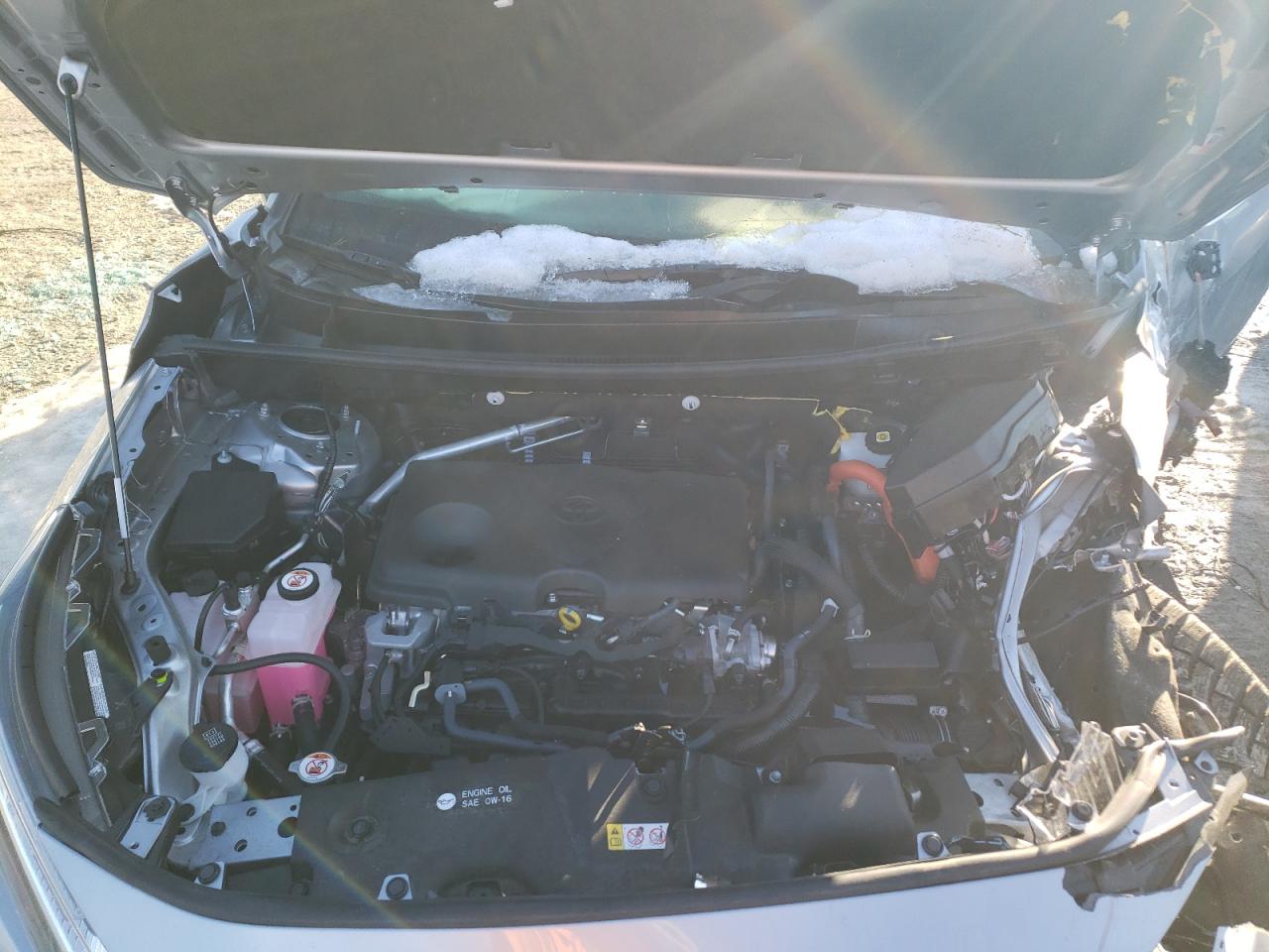 2024 TOYOTA RAV4 XLE VIN:JTMRWRFV7RD251164