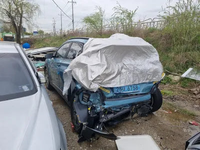 2019 Hyundai Kona KMHK281GFKU010192 VIN:KMHK281GFKU010192