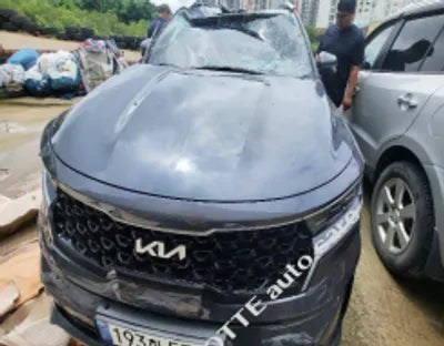 2022 Kia Sorento KNARF81BGNA136297 VIN:KNARF81BGNA136297