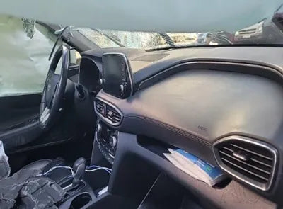 2019 Hyundai Santa FE KMHS281BBKU082980 VIN:KMHS281BBKU082980