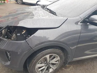 2019 Kia Sorento 187KMKNAPF81BBKA5 VIN:187KMKNAPF81BBKA5