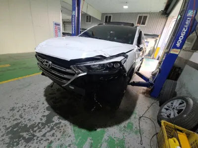 2017 Hyundai Tucson KMHJ581ABJU539316 VIN:KMHJ581ABJU539316