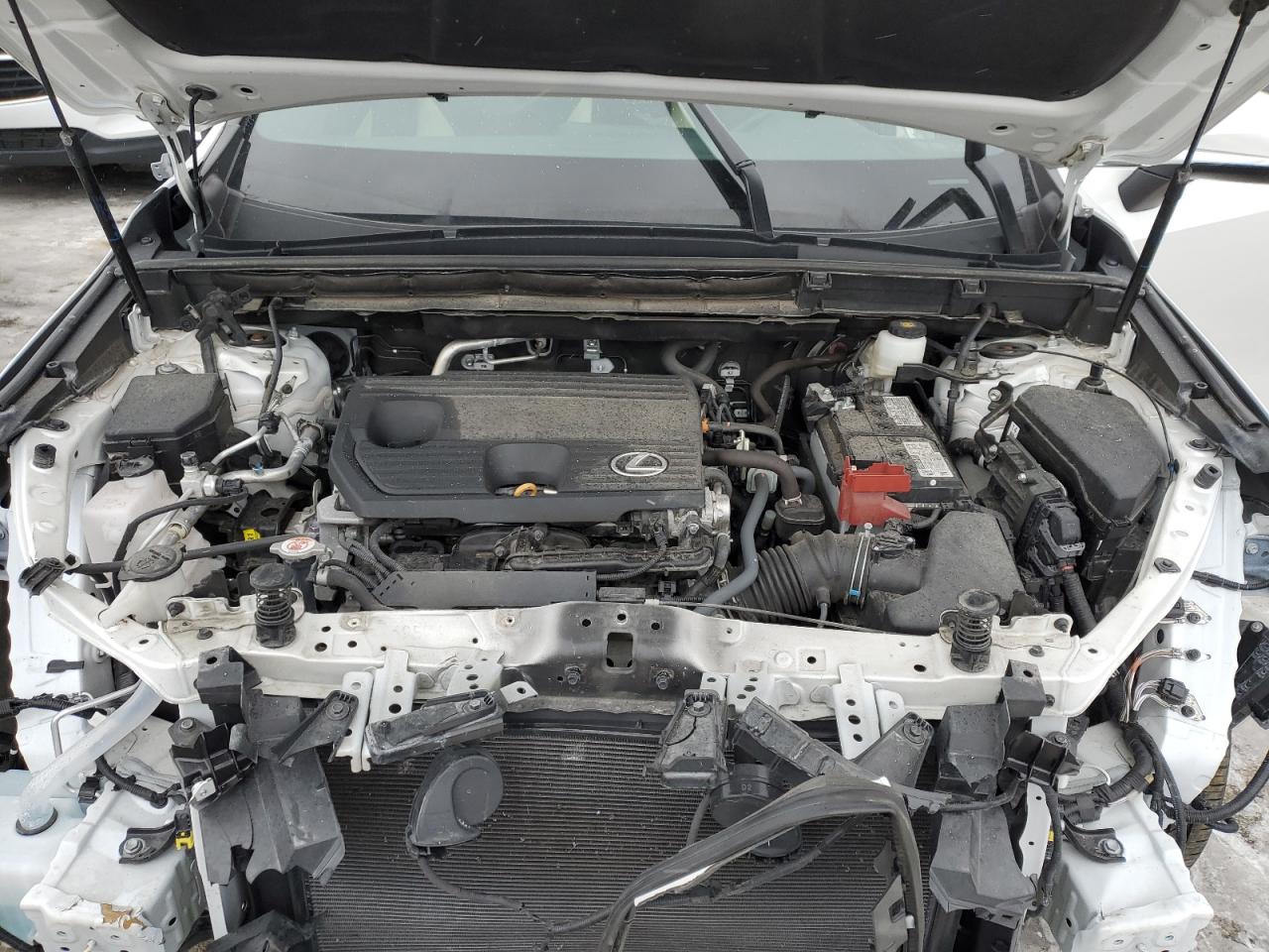 2024 LEXUS NX 250 BASE VIN:2T2ADCAZ6RC010487