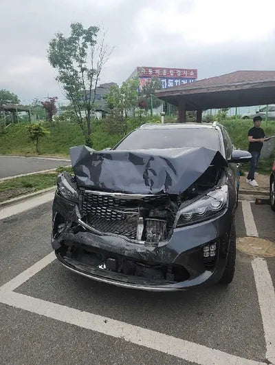 2019 Kia Sorento KNAPS81BBKA508210 VIN:KNAPS81BBKA508210