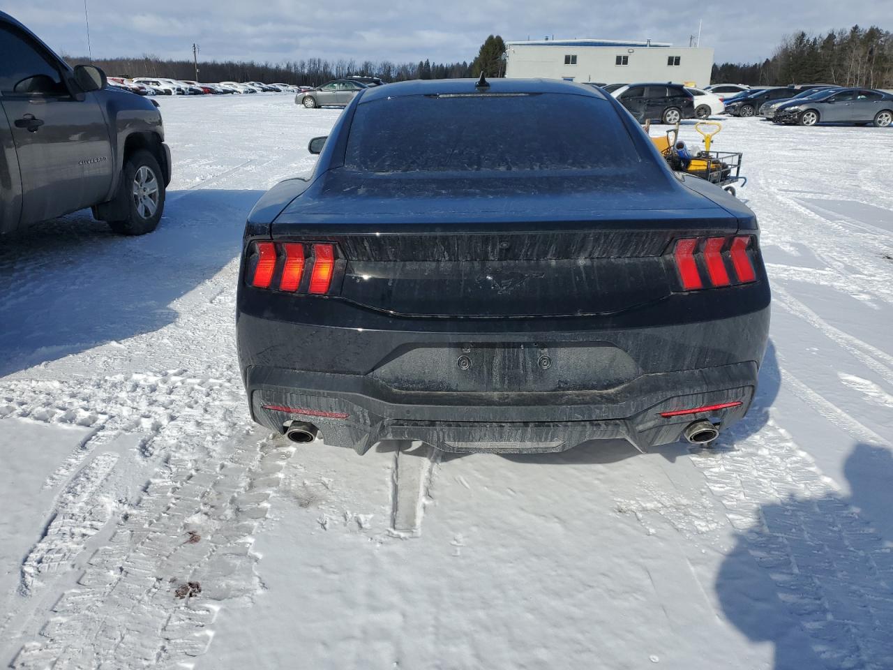 2024 FORD MUSTANG  VIN:1FA6P8THXR5104054