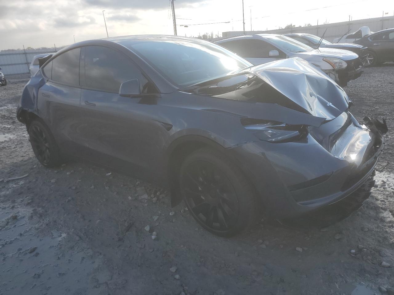 2023 TESLA MODEL Y  VIN:7SAYGDEE2PF880109