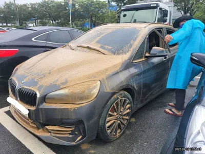 2021 BMW 2 Series Gran Tourer WBA6T9106M7G92945 VIN:WBA6T9106M7G92945