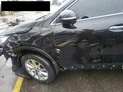 2017 Kia Sorento KNAPS81ABHA319110 VIN:KNAPS81ABHA319110