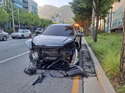 2018 Hyundai Santa FE KMHSW81UBJU850347 VIN:KMHSW81UBJU850347