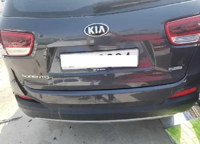 2017 Kia Sorento KNAPS81ABHA272213 VIN:KNAPS81ABHA272213