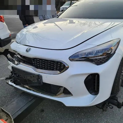 2021 Kia Stinger KNAE351DDMS099818 VIN:KNAE351DDMS099818