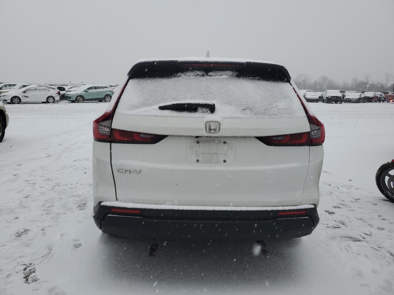 2023 HONDA CR-V EXL VIN:2HKRS4H72PH404697