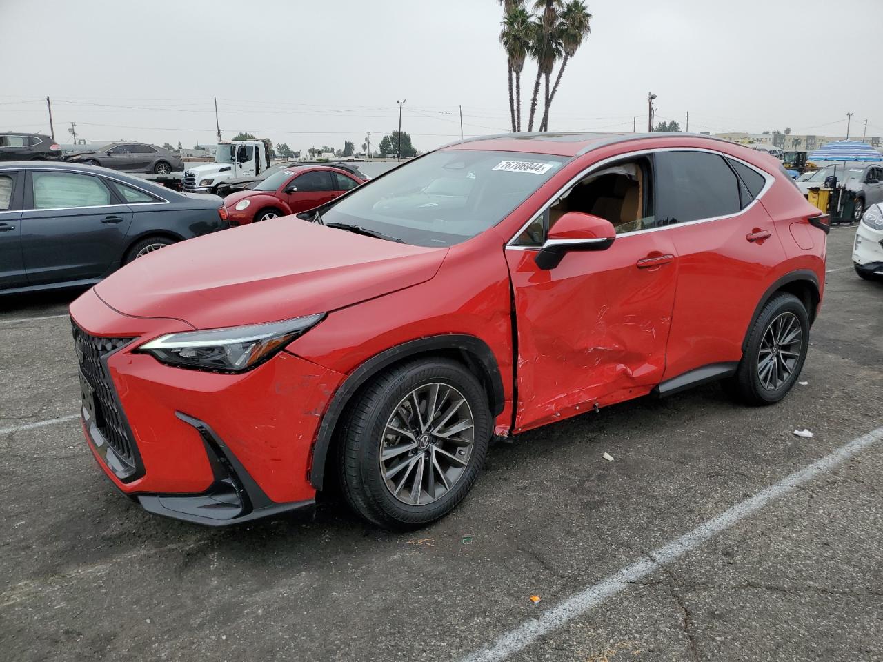 2024 LEXUS NX 250 BASE VIN:JTJADCAZ3R2009717