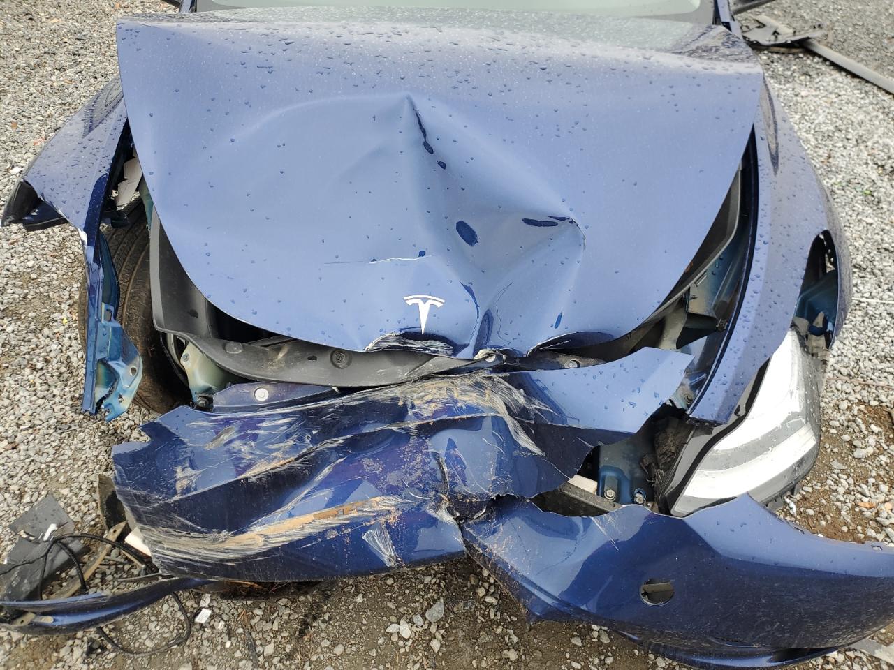 2023 TESLA MODEL Y  VIN:7SAYGDEE3PA157818